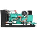 Natural Gas 400v/230v Water Cooling Low Consumption Natural Gas Generator